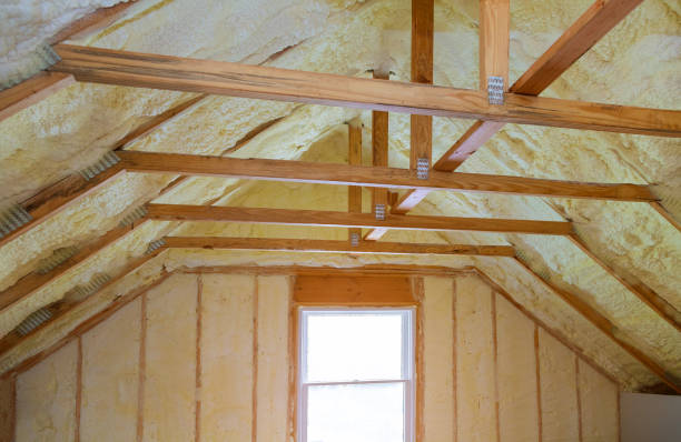 Best Insulation Removal  in Black Canyon City, AZ